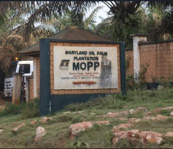 Maryland oil Palm Plantation (MOPP) Central Office